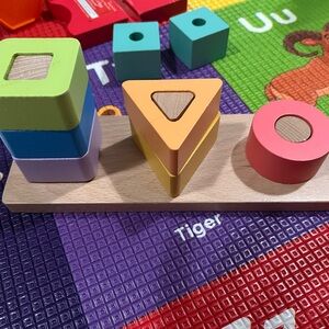 Colorful Wooden Shape Sorting Toy